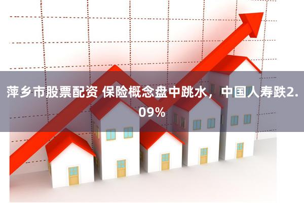 萍乡市股票配资 保险概念盘中跳水，中国人寿跌2.09%