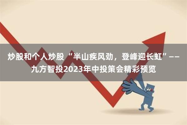 炒股和个人炒股 “半山疾风劲，登峰迎长虹”——九方智投2023年中投策会精彩预览