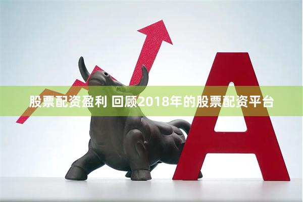 股票配资盈利 回顾2018年的股票配资平台