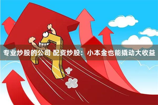 专业炒股的公司 配资炒股：小本金也能撬动大收益