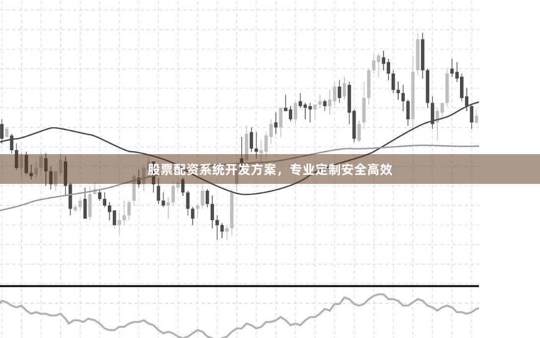 股票配资系统开发方案，专业定制安全高效