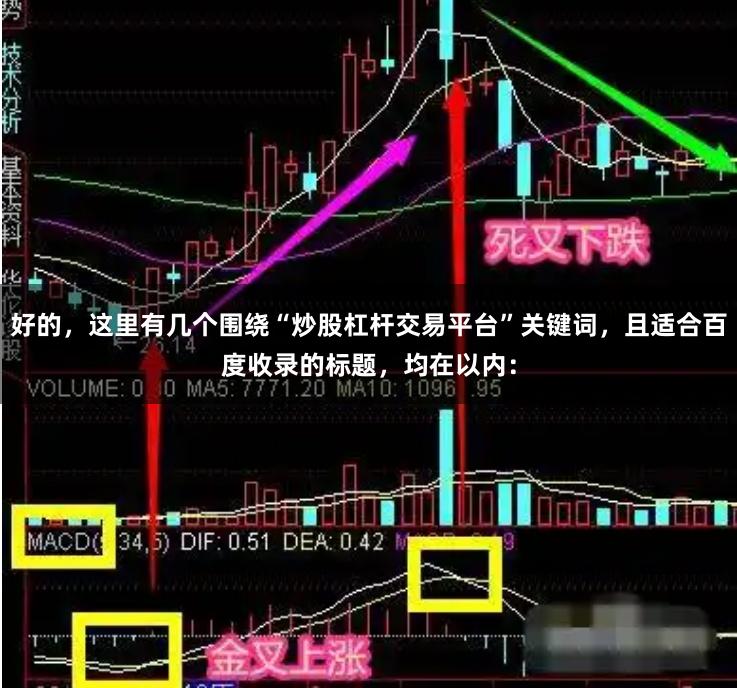 好的，这里有几个围绕“炒股杠杆交易平台”关键词，且适合百度收录的标题，均在以内：