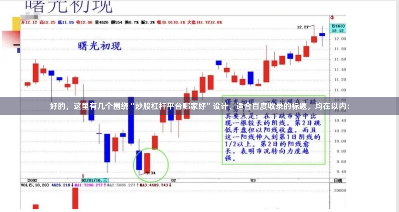 好的，这里有几个围绕“炒股杠杆平台哪家好”设计、适合百度收录的标题，均在以内：