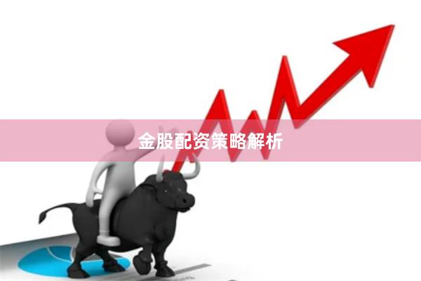 金股配资策略解析